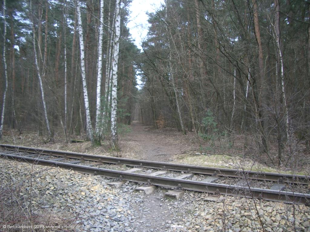 Gleis im Wald